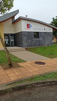 Consultorio de ajo