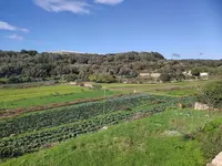 Es Migjorn Gran Consultorio