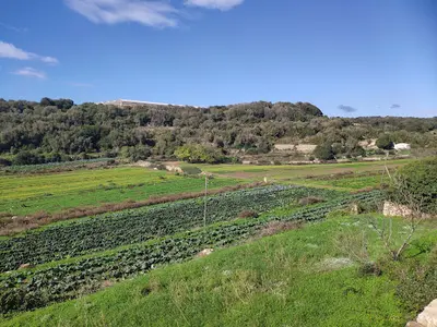Es Migjorn Gran Consultorio
