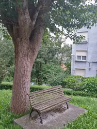 Consultorio Local Aperribai