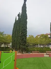 CAP L'Arboç