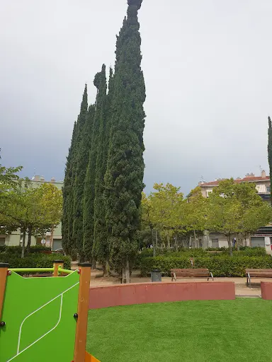 CAP L'Arboç
