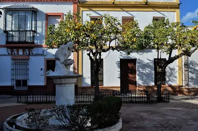 Centro De Salud La Palma Del Condado