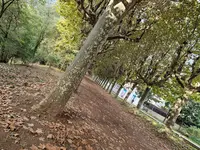 CAP Garrotxa