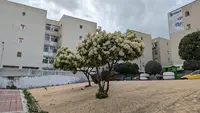 Centro de Salud Los Pintores