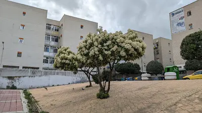 Centro de Salud Los Pintores