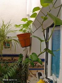 Centro de Salud de Porcuna