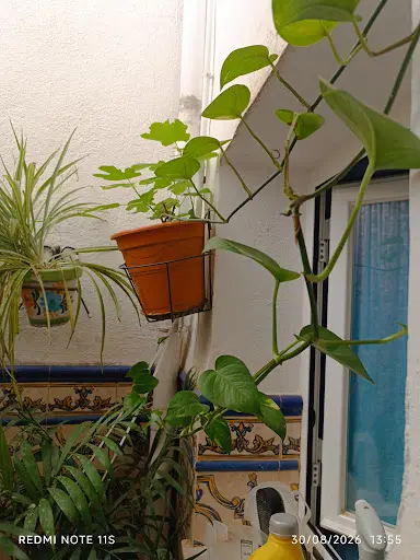 Centro de Salud de Porcuna