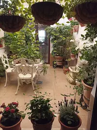 Servicio Andaluz de Salud