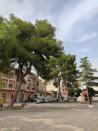 Consultorio Local de Riola