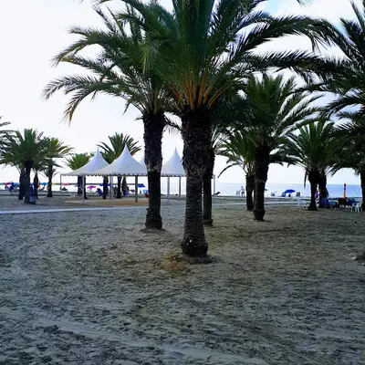 Santa Pola Casa del Mar Consultorio